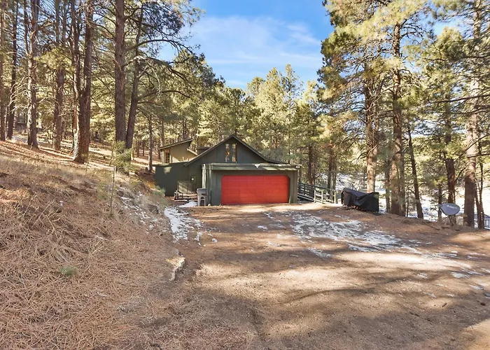 Enchanted Forest Super Cozy On 2 Acres Sledding Hills Tree Swing Pool Table *